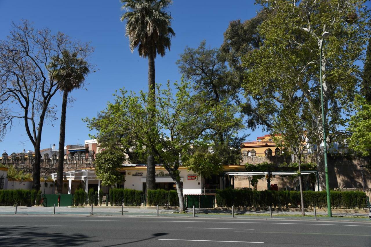 Modern Atico, Close Macarena/Sevilla Center Exterior photo